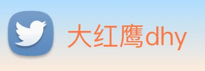 大红鹰dhy Logo